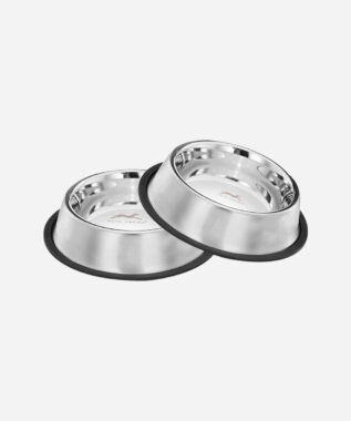 Pets Empire Stainless Steel Dog Bowl (Set of 2)
